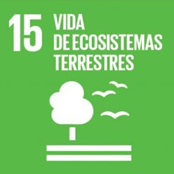 Vida de Ecosistemas Terrestres