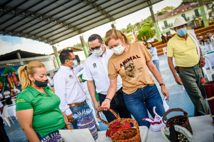 Compromisos Ambientales y Sostenibles para Villarrica