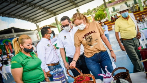 Compromisos Ambientales y Sostenibles para Villarrica