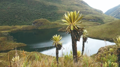 Alianzas institucionales para la conservación incluyente del Páramo de Las Hermosas