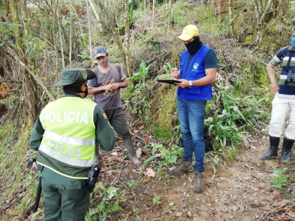 Un capturado por deforestación en cerros noroccidentales de Ibagué
