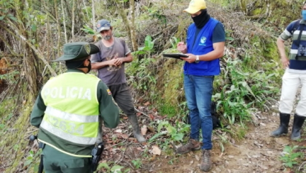 Un capturado por deforestación en cerros noroccidentales de Ibagué