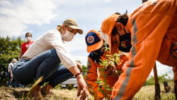 Cortolima celebra el Día del Árbol con 6.420 siembras