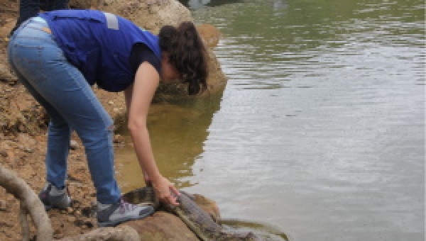 Liberan 16 animales silvestres en el Tolima