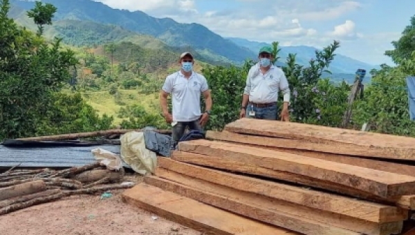 Incautación de madera en la vereda Guayaquil del municipio de Ortega sur del Tolima