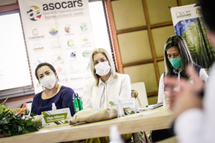 Elegida nueva Junta Directiva de la Asociación de Corporaciones Autónomas: Presidencia Corporación autónoma del Valle y vicepresidencia Cortolima