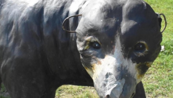 Comunicado a la opinión pública