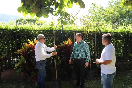 Ahora todos conoceremos la información ambiental de los árboles de la ciudad