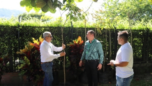 Ahora todos conoceremos la información ambiental de los árboles de la ciudad