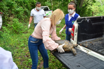 Cortolima realiza jornada de liberación de fauna silvestre en el Día Mundial del Medio Ambiente