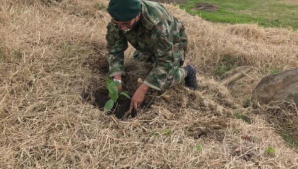 Cortolima reactiva Sembratón con el apoyo del Ejército Nacional