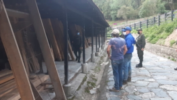 Cortolima y autoridades intensifican acciones para detener y prevenir tala de árboles en zonas de reserva