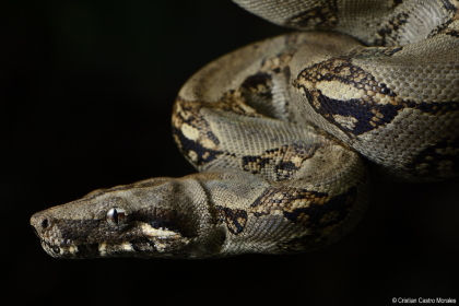 Si usted va a visitar los ecosistemas del Tolima en estas vacaciones, esta información le interesa