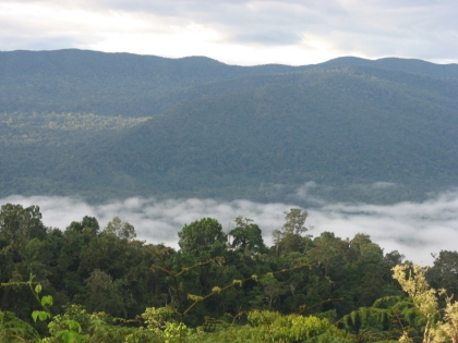 El consejo directivo de Cortolima aprobó como máxima categoría de conservación al Bosque de Galilea