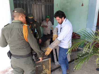 Un poco de pedagogía en términos de recuperación de fauna