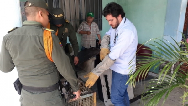 Un poco de pedagogía en términos de recuperación de fauna