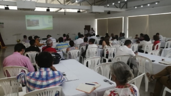 Se conoció el Plan Maestro de Silvicultura para la zona urbana de Ibagué