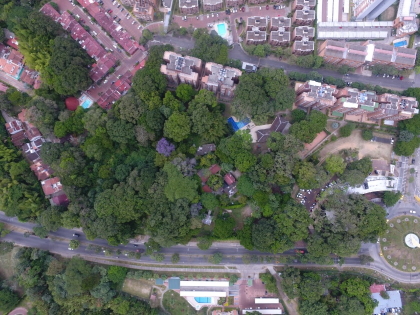 Cortolima niega permiso de aprovechamiento forestal en sitio urbano estratégico de Ibagué