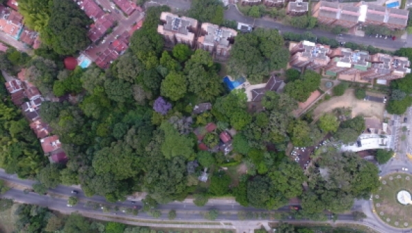 Cortolima niega permiso de aprovechamiento forestal en sitio urbano estratégico de Ibagué
