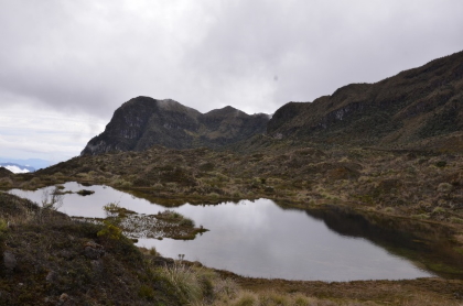 El proyecto complejo de Páramo “Los Nevados” una estrategia ambiental y comunitaria