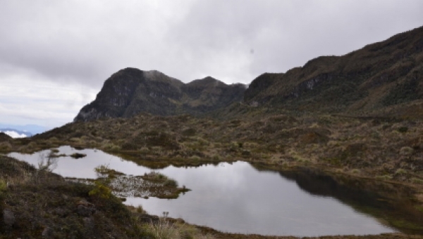 El proyecto complejo de Páramo “Los Nevados” una estrategia ambiental y comunitaria