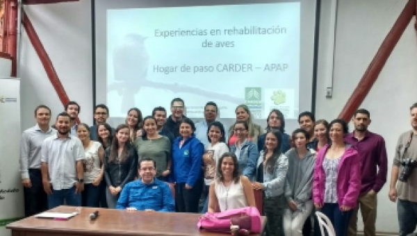 Cortolima presente en Taller de experiencias en rehabilitación de fauna silvestre