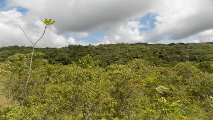 Cortolima adquiere nuevos predios de conservación en el norte del departamento
