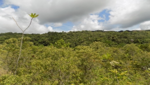 Cortolima adquiere nuevos predios de conservación en el norte del departamento
