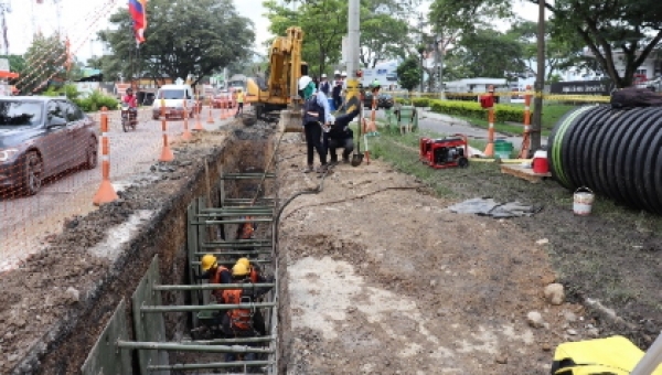 El Colector las quintas avanza