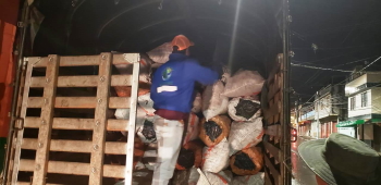 Operativo nocturno entre Cortolima y autoridades logra la incautación de una cantidad importante de carbón vegetal