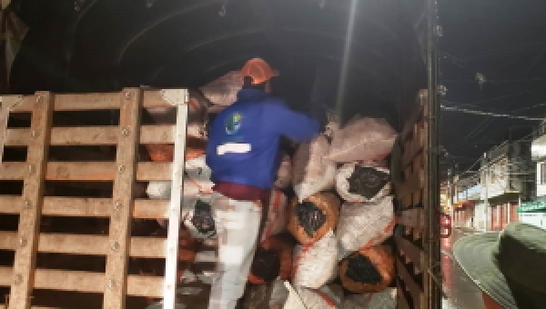 Operativo nocturno entre Cortolima y autoridades logra la incautación de una cantidad importante de carbón vegetal