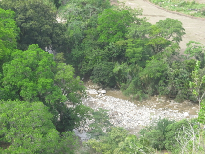 La Corporación Autónoma Regional del Tolima – CORTOLIMA Informa a la opinión pública