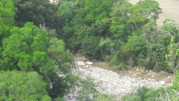 La Corporación Autónoma Regional del Tolima – CORTOLIMA Informa a la opinión pública