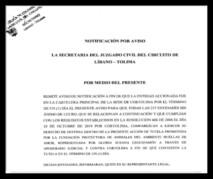 Cortolima relaciona las publicaciones judiciales frente a la solicitud preventiva de suspensión de la elección de representantes de las ONG's para el periodo 2020 - 2023