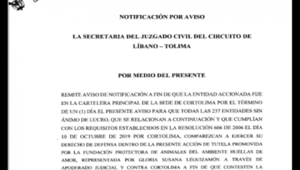 Cortolima relaciona las publicaciones judiciales frente a la solicitud preventiva de suspensión de la elección de representantes de las ONG's para el periodo 2020 - 2023