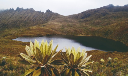 Avanza y se consolida la propuesta del componente de Gobernanza del complejo de Páramo los Nevados
