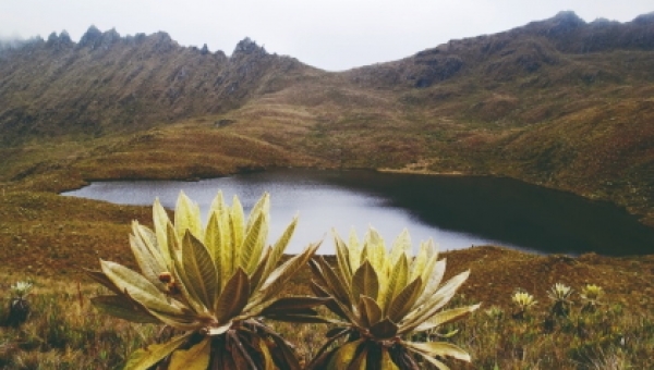 Avanza y se consolida la propuesta del componente de Gobernanza del complejo de Páramo los Nevados