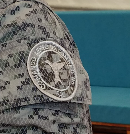 El Colibrí Cabecicastaño, símbolo para la Fuerza Aérea Colombiana