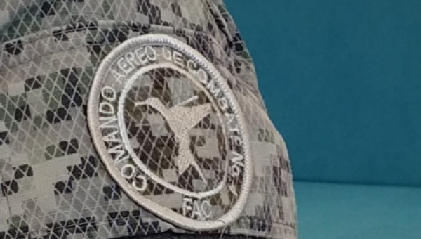 El Colibrí Cabecicastaño, símbolo para la Fuerza Aérea Colombiana