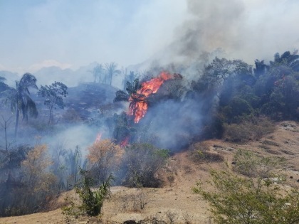 Controlada la conflagración en Honda
