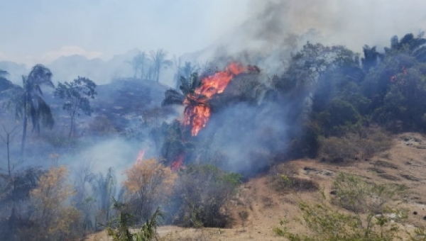 Controlada la conflagración en Honda