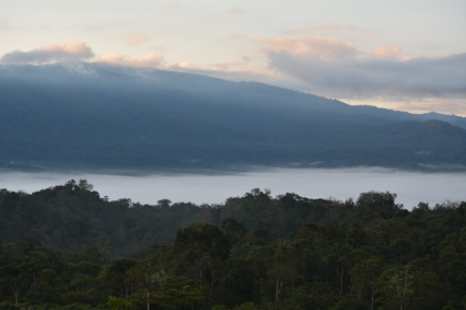 Ocupamos el puesto número 14 a nivel nacional en tema de biodiversidad