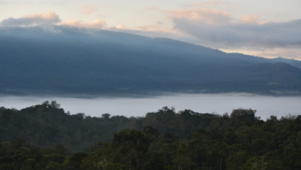 Ocupamos el puesto número 14 a nivel nacional en tema de biodiversidad