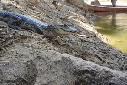De la tragedia de las llamas a la libertad.