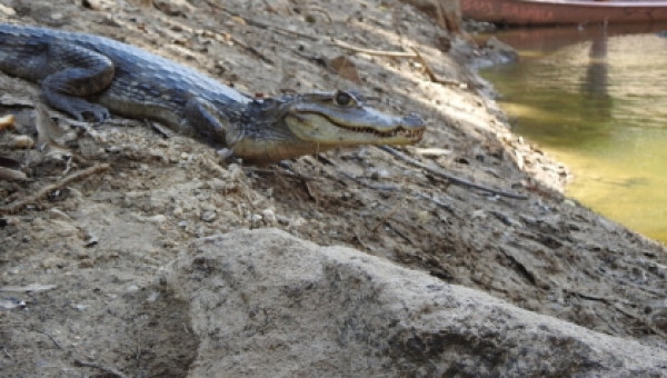 De la tragedia de las llamas a la libertad.