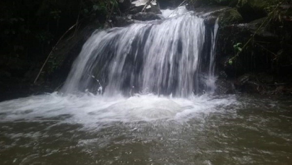 Cortolima ya superó la meta de 2019 en adquisición de predios