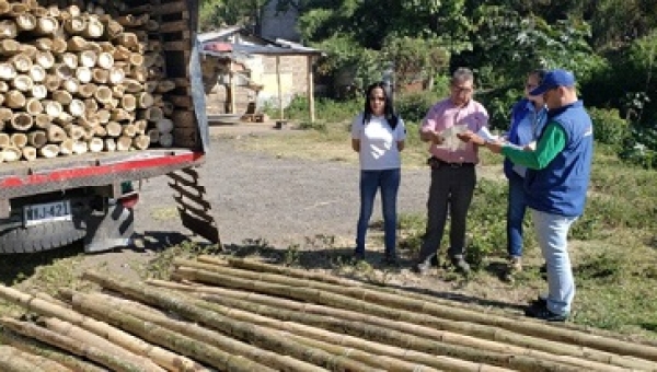 Tolima hizo parte del Operativo Naciona