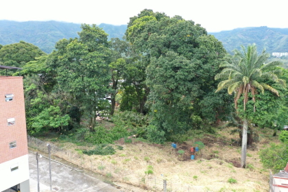 En Cortolima todo permiso tiene su compensación ambiental