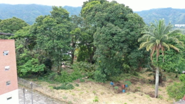 En Cortolima todo permiso tiene su compensación ambiental