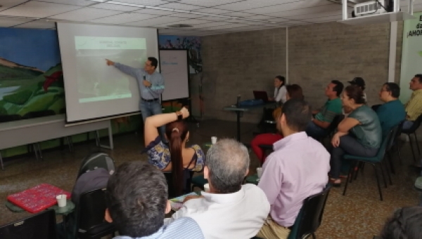 La palma de cera y humedales son objeto de estudio y conservación para Cortolima